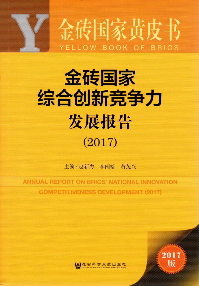 又粗又长大鸡日逼视频金砖国家综合创新竞争力发展报告（2017）